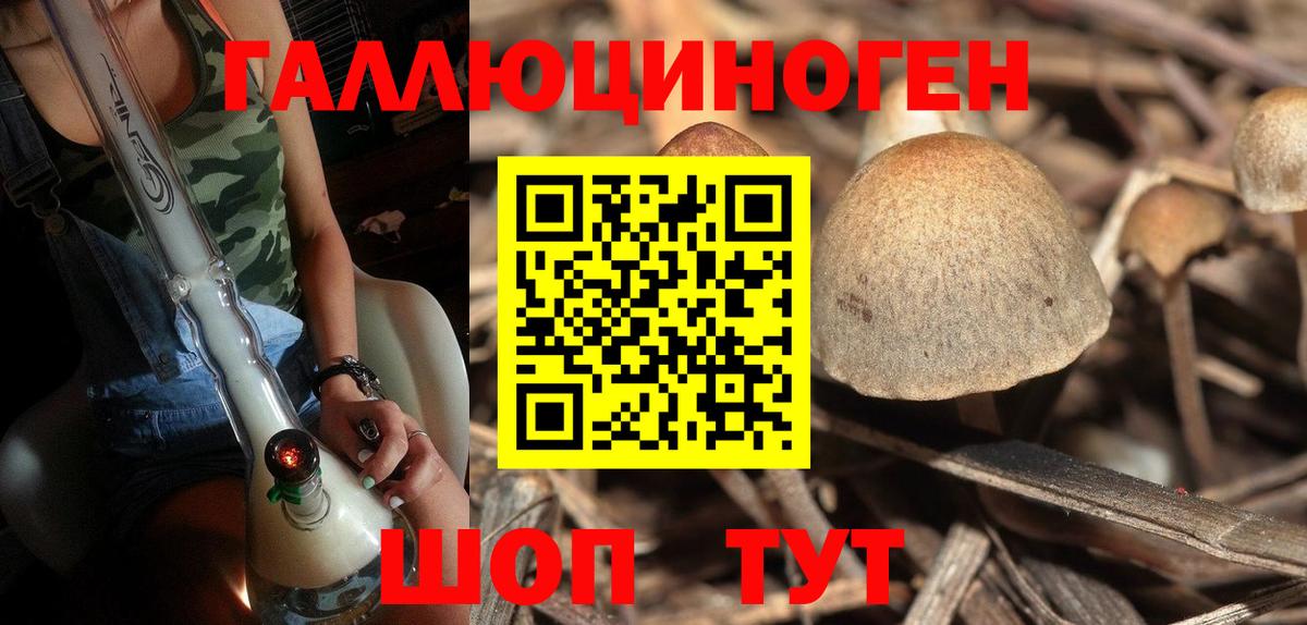 Псилоцибиновые грибы GOLDEN TEACHER Губаха